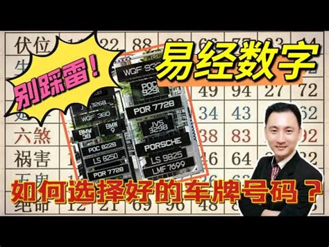 7數字吉凶|【數字吉凶】數字解析你的運勢！免費數字吉凶運勢查。